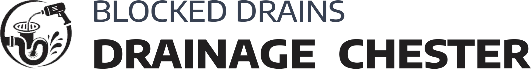 website logo